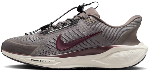 nike pegasus easyon